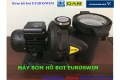 Lý do bạn chọn máy bơm hồ bơi Euroswim