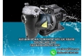 Bỏ Túi Địa Chỉ Bán Máy Bơm Hồ Bơi Chính Hãng Ở TPHCM